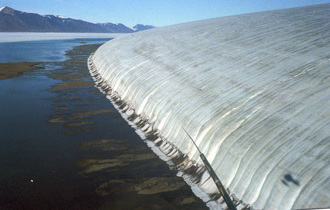 Elefant Foot Glacier (2/5)